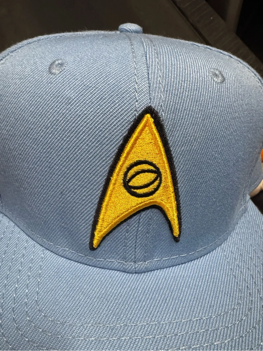 Star Trek Snapback hat